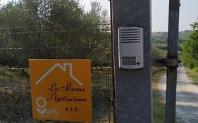 La Silvana B&B